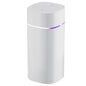 Humidificador USB de doble boquilla | 800 ml/h de alta potencia y ultrasilencioso | Humidificador para coche y hogar